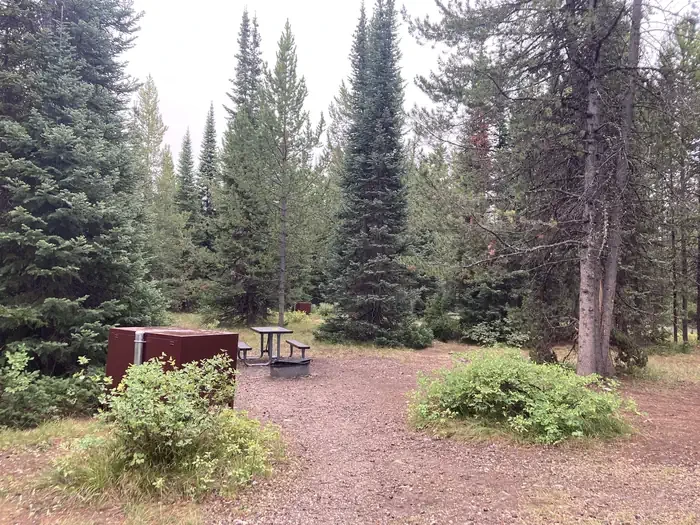 331