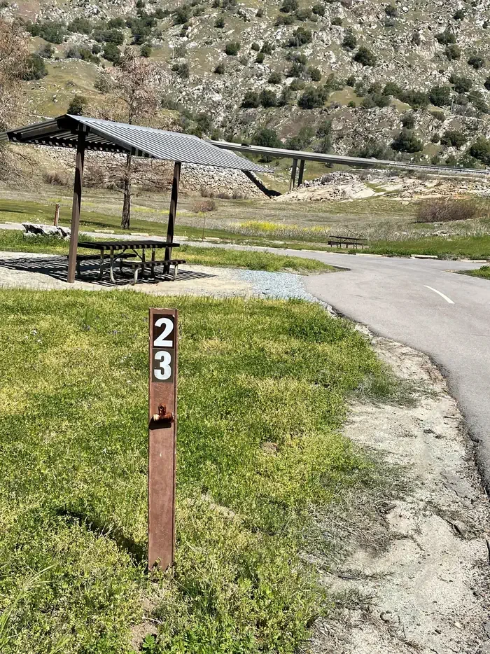 23