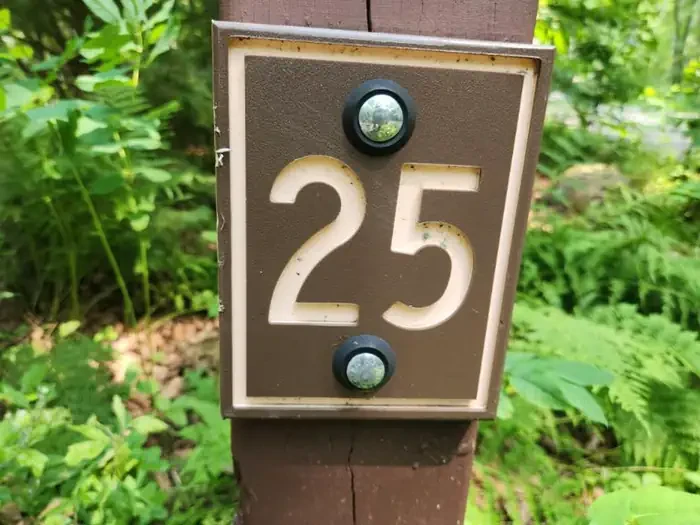 25
