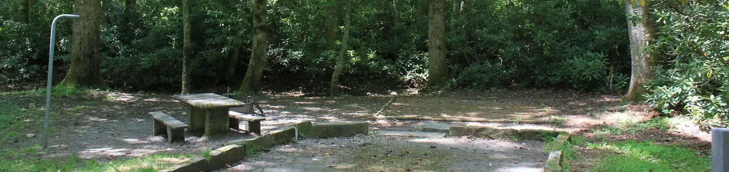 B37