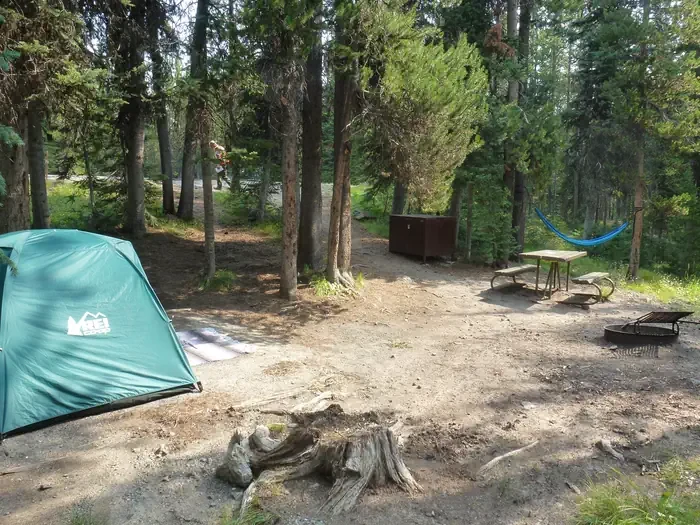 Lewis Lake site #68
