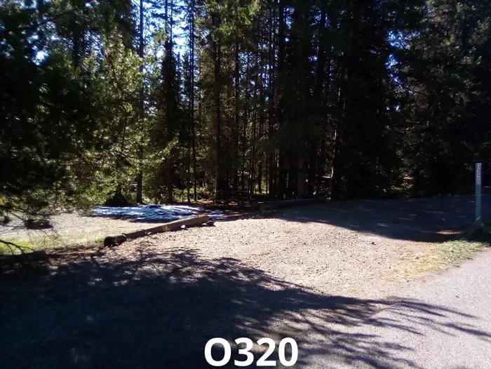 320