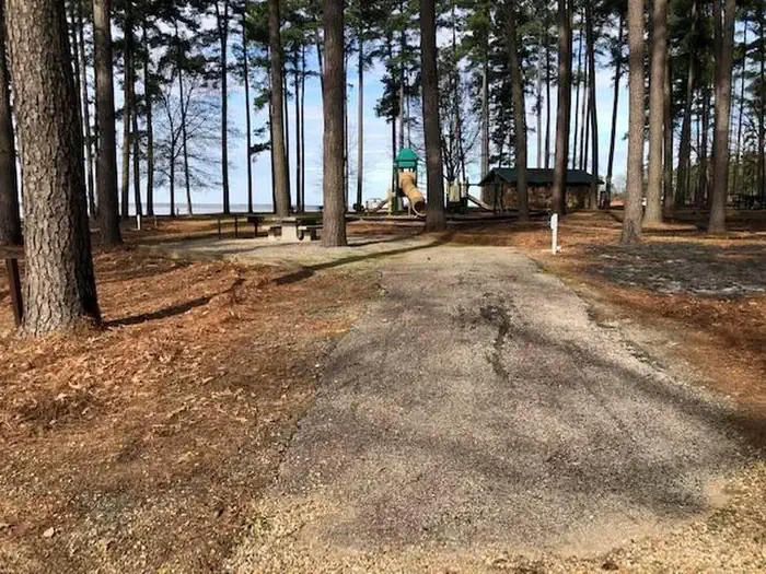 A40