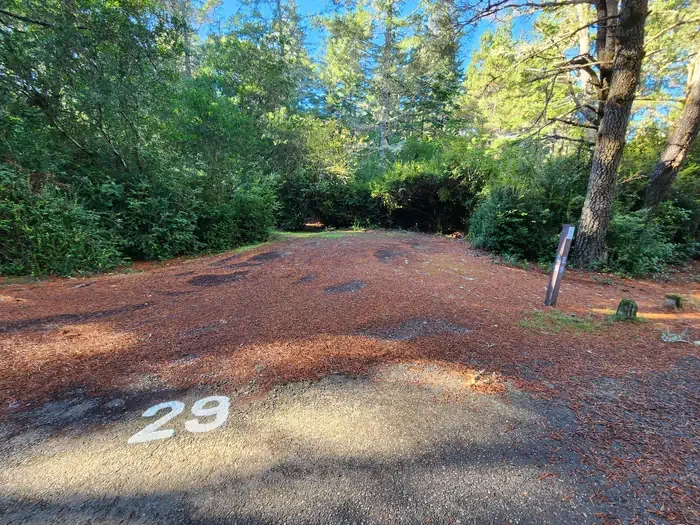 29