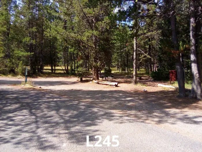 245