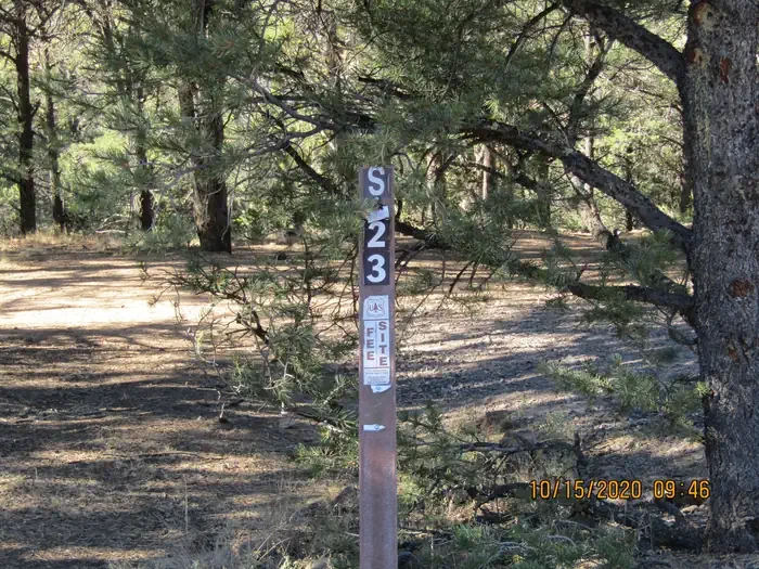23