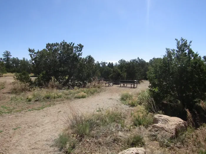 1 (Group Site)