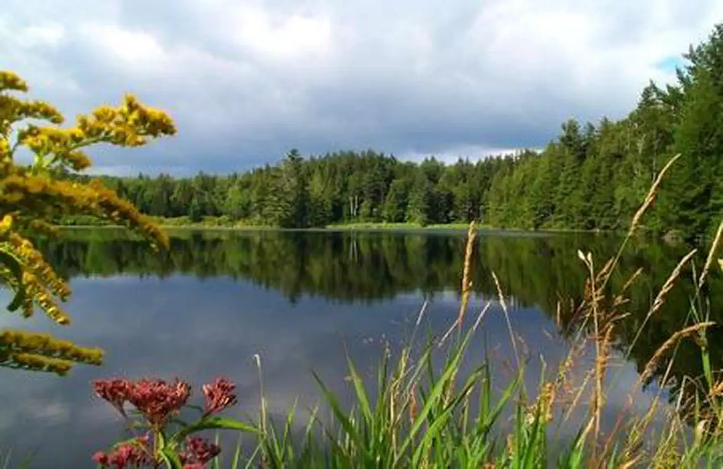 Hapgood Pond