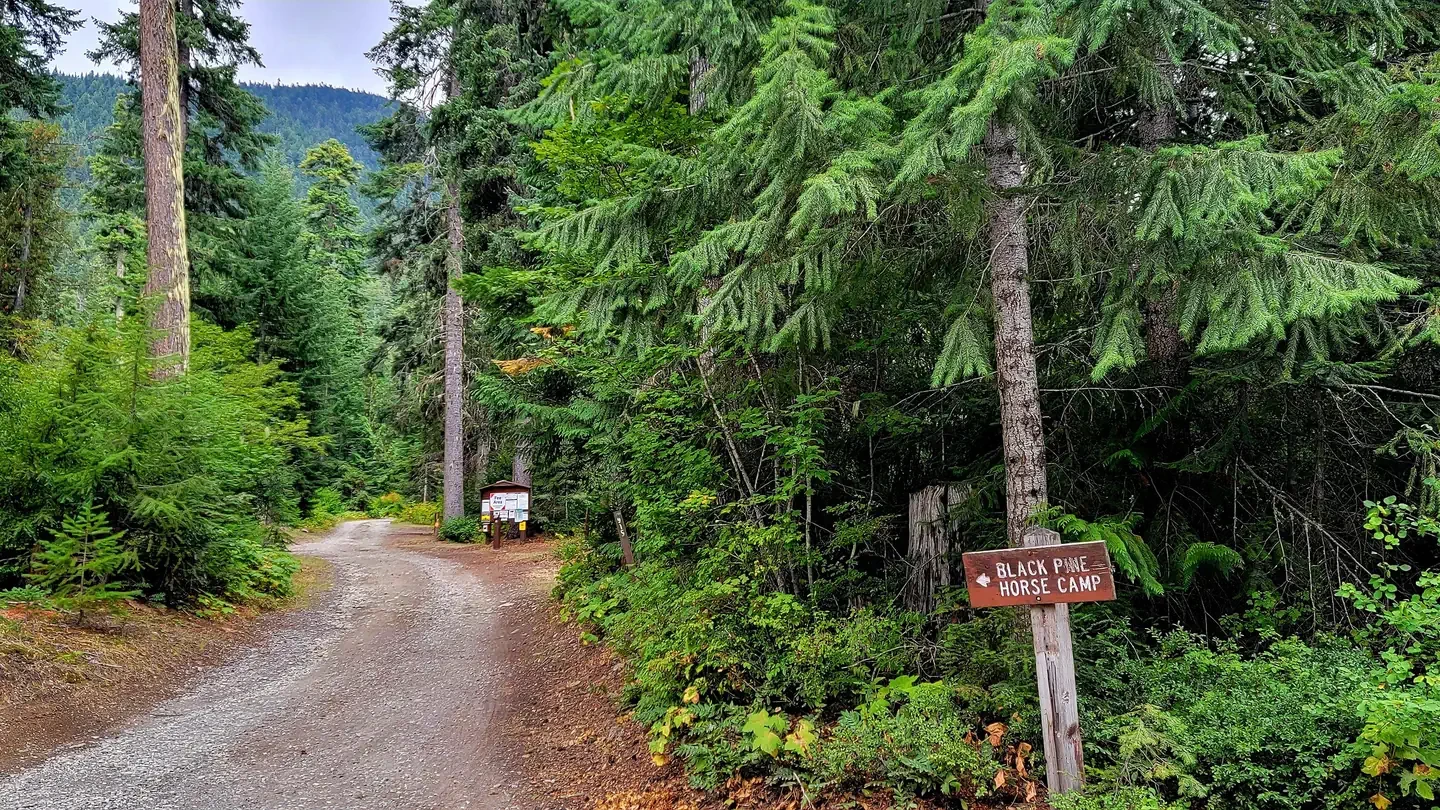Blackpine CR Horsecamp