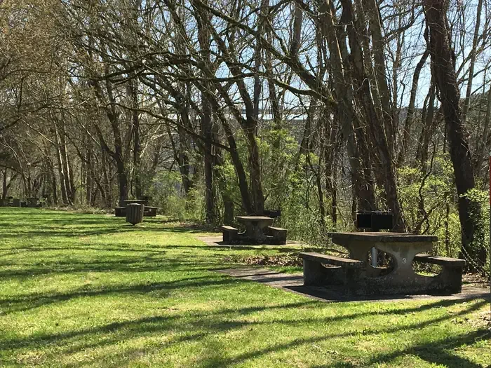 L1-Picnic Shelter