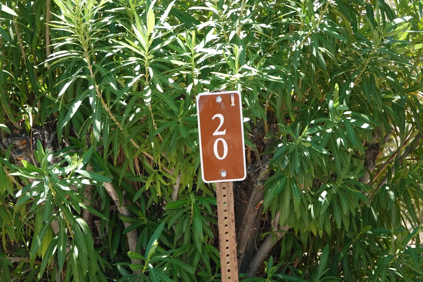 Site 20
