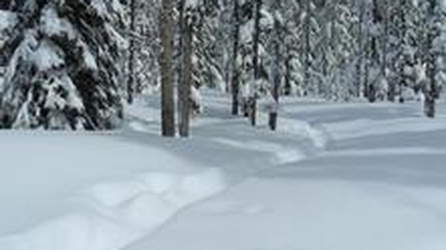Hemlock Cabin
