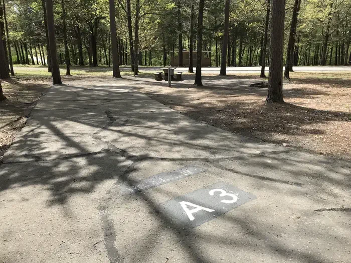 A03