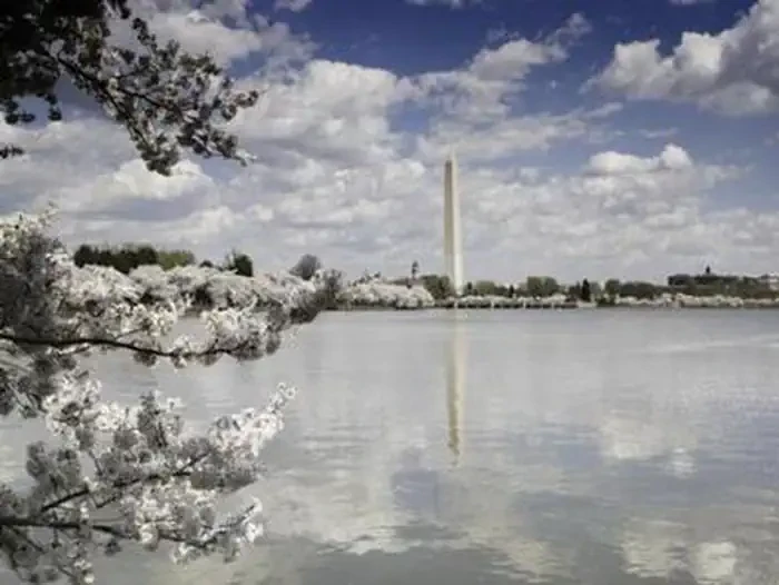 Washington Monument