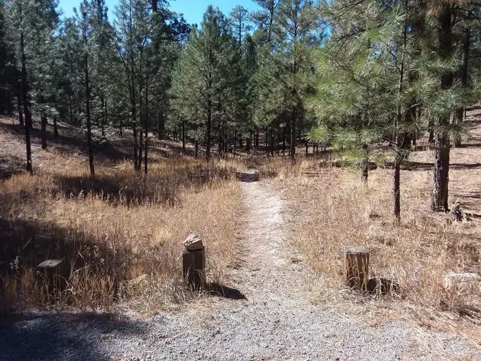 Jemez Falls (nm) Picnic Area