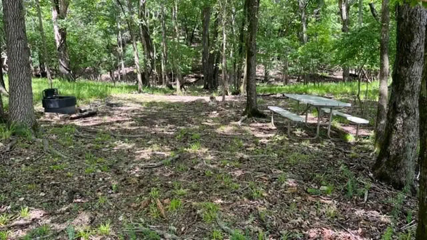 Island Site 01