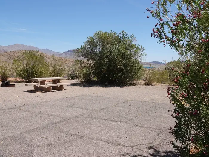 Site 30