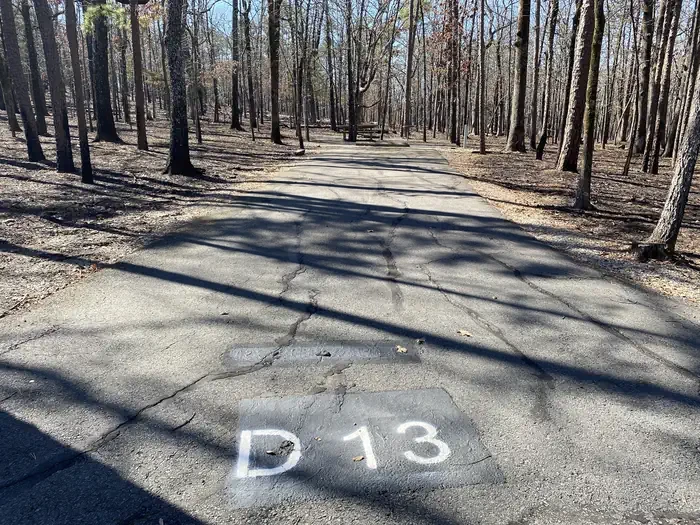 D13