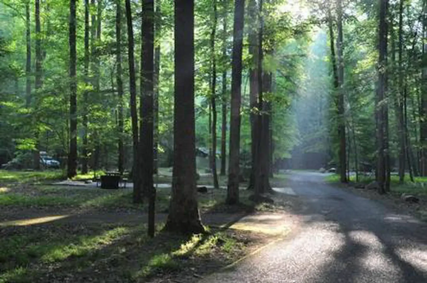 Elkmont Campground