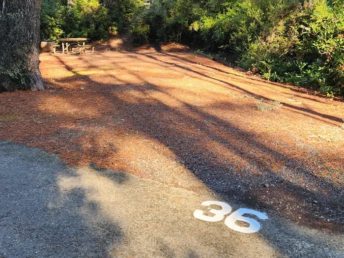 36