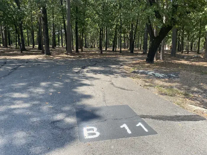 B11