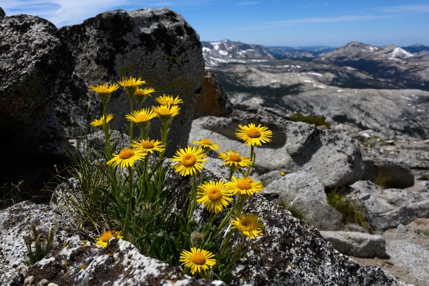 Yosemite National Park Wilderness Permits