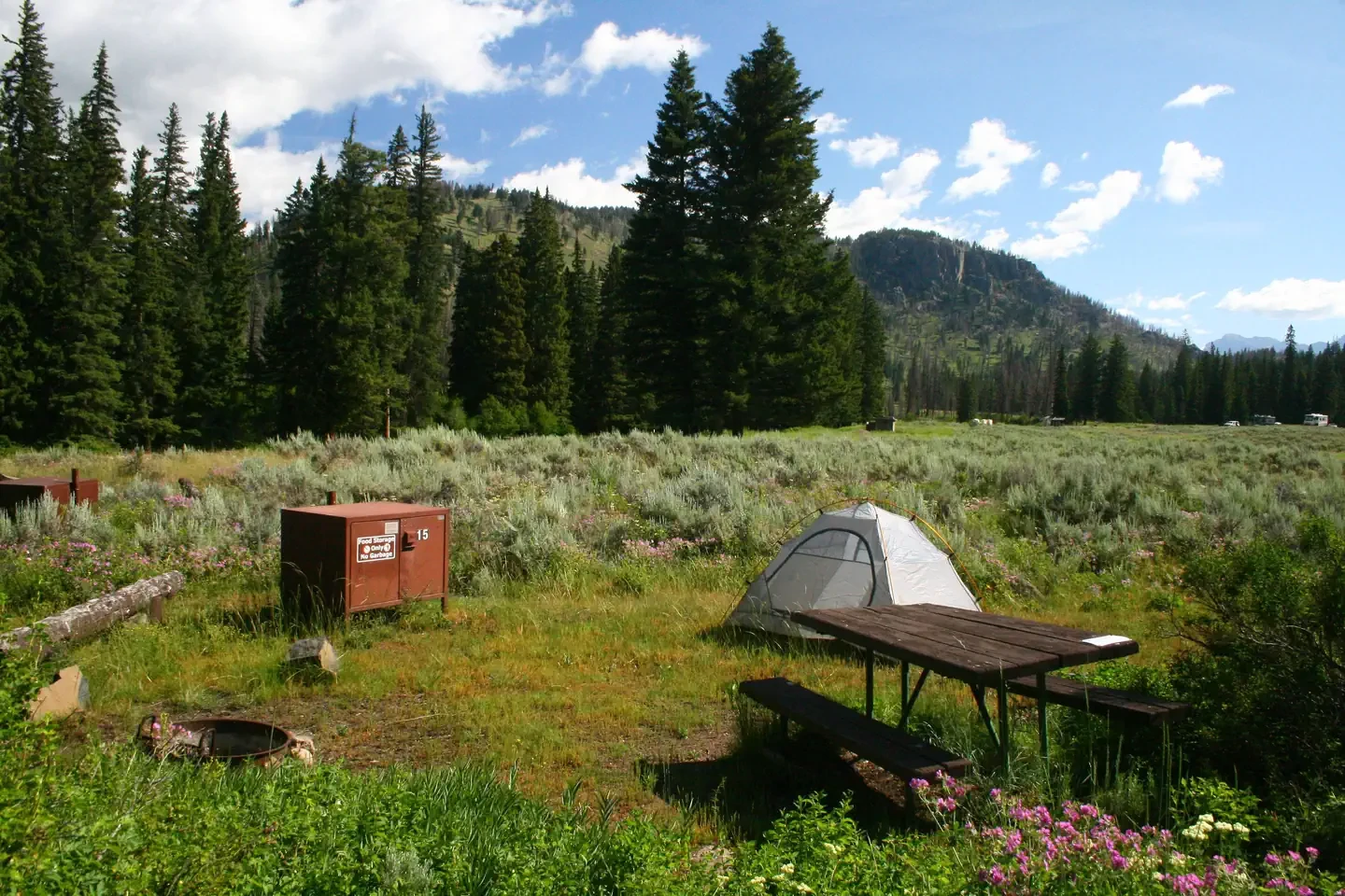 Slough Creek site #15