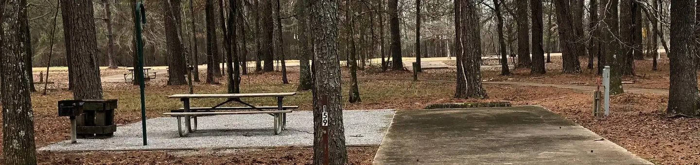 159