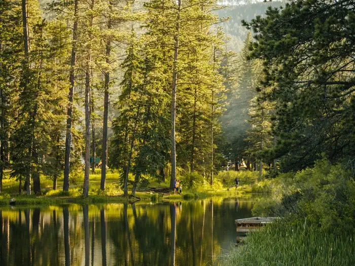 Dalton Lake Campground