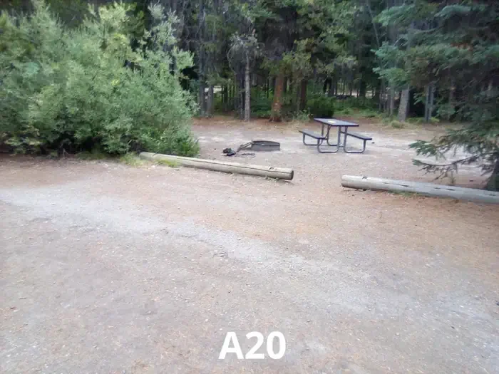 20