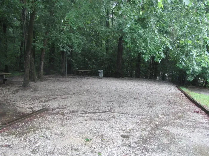 Site 1