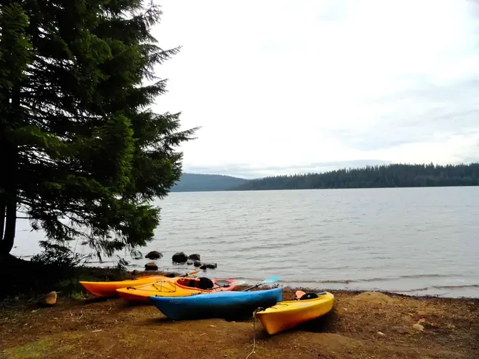 Gone Creek Campground (Timothy Lake, OR)
