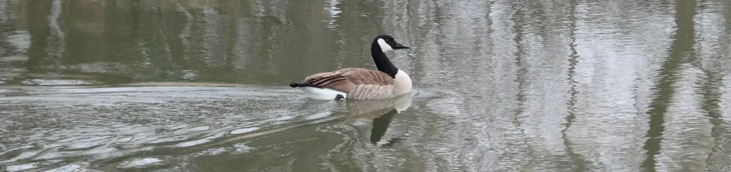 89