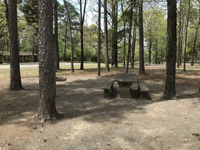 A13