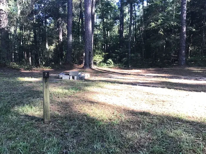 Site 07