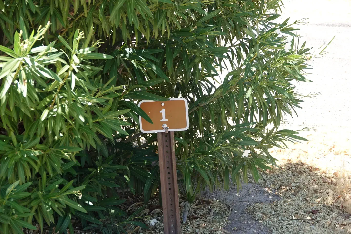 Site 1