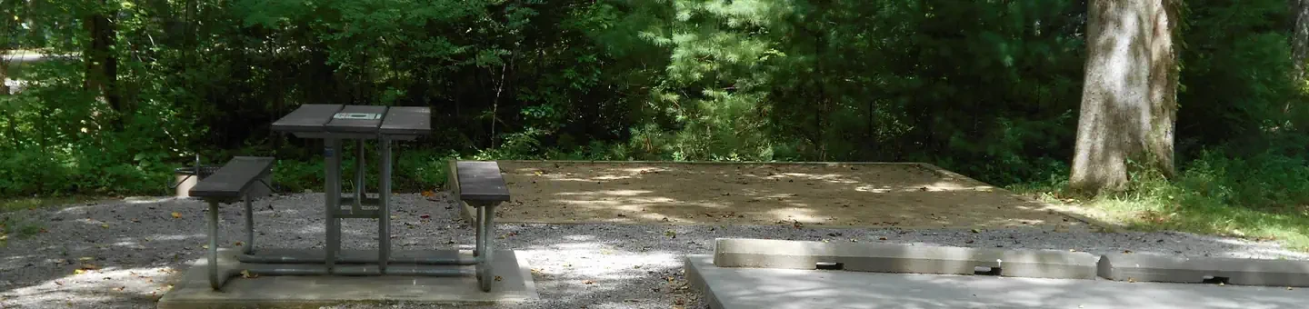 B17