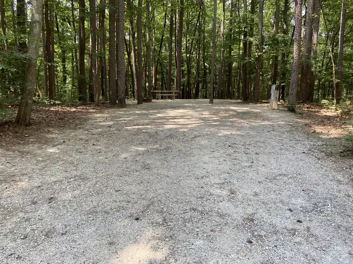 184