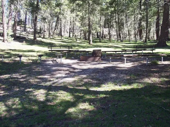 Upper Fir Group Area