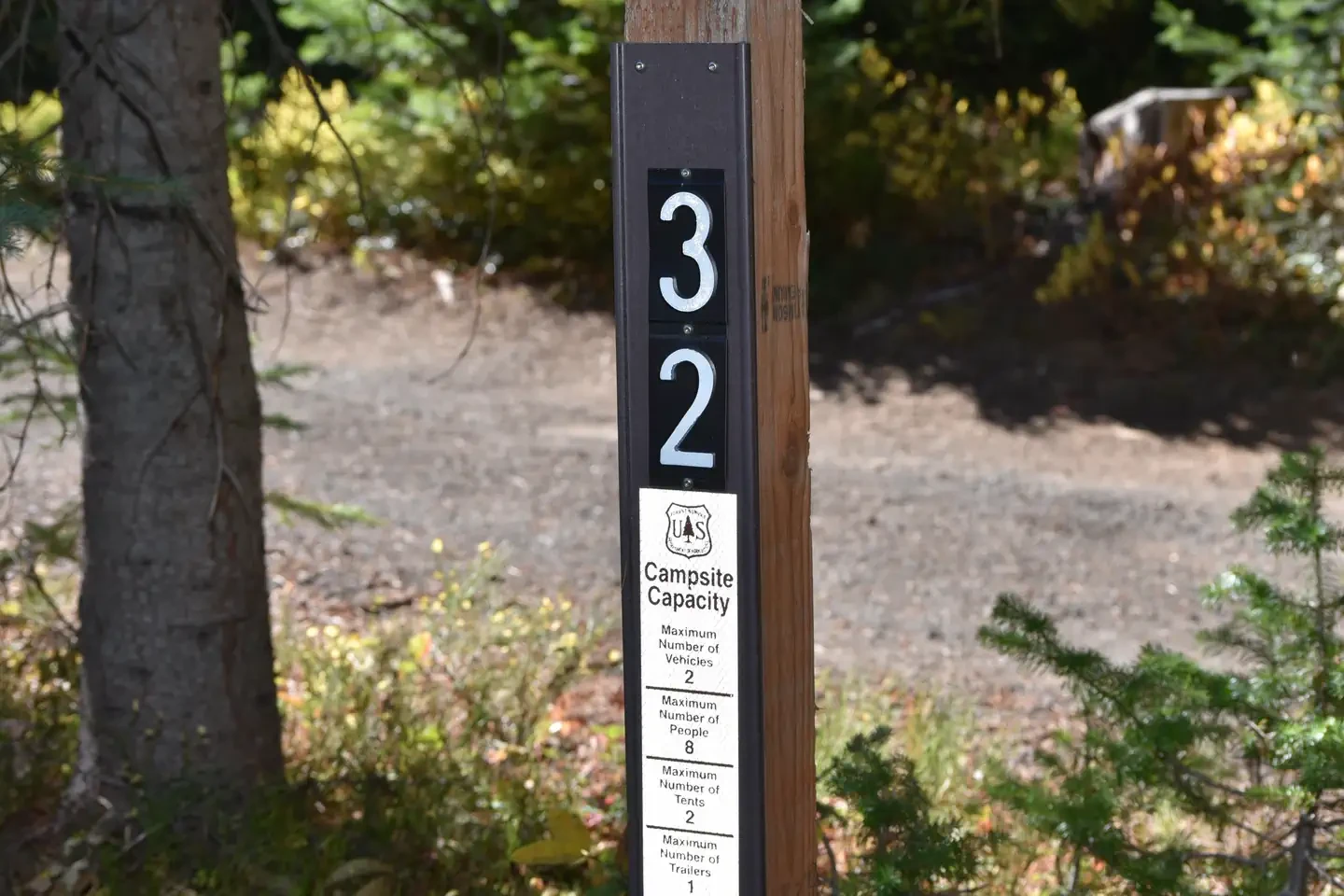 32