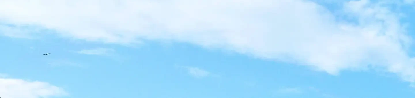 M07