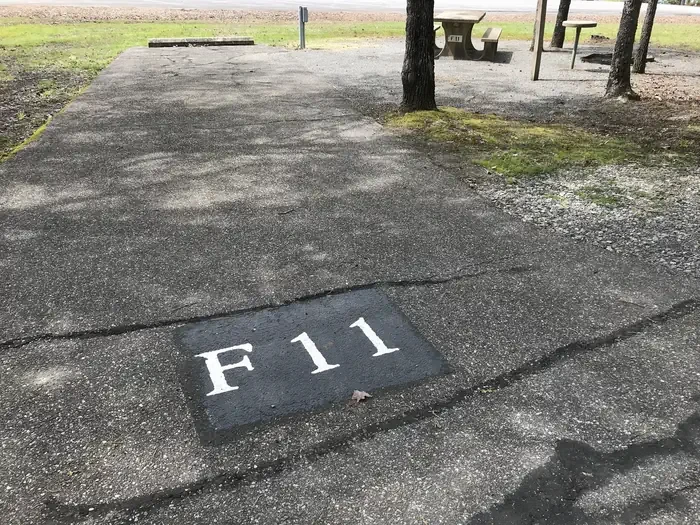 F11