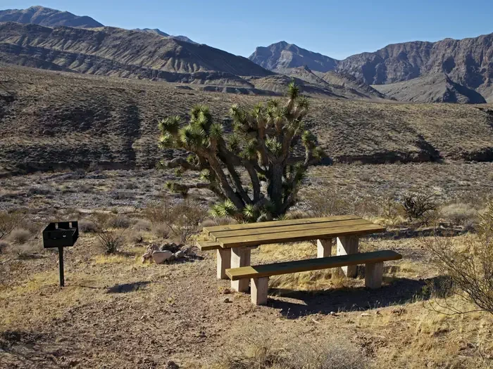 Virgin River Canyon Recreation Area