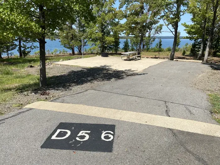 D56