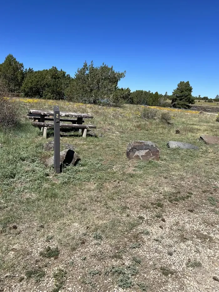 Forked Pine Campground