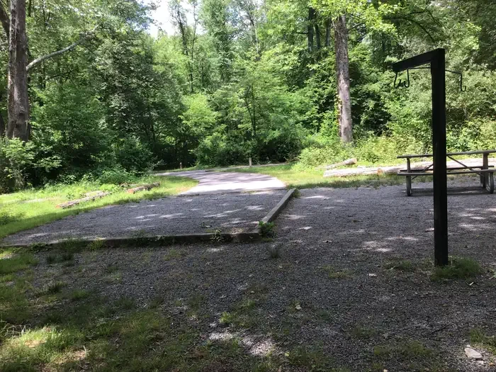 050