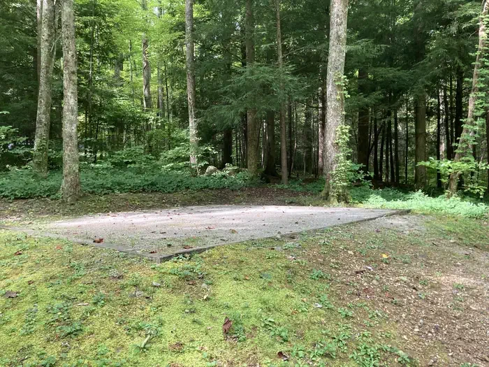 A56