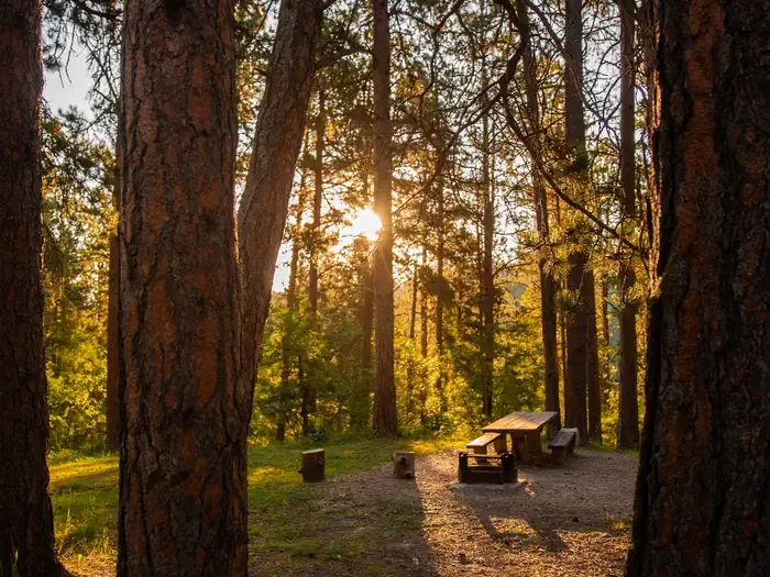 Bearlodge Campground