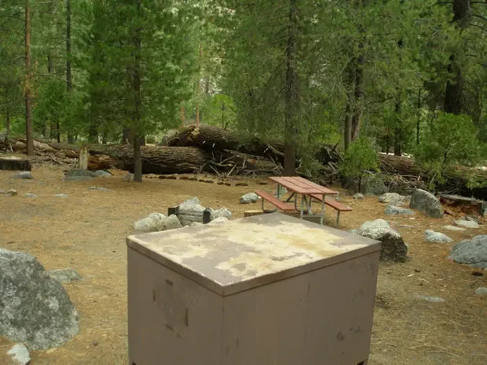 Site: 11