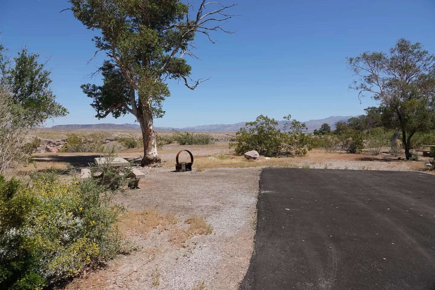 Site 64